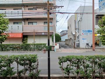 写真：飾られたハボタン1