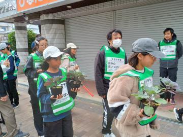 写真：ハボタン苗の飾りつけ3
