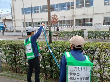 写真：ハボタン苗の飾りつけ6