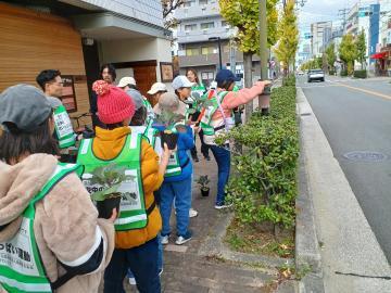 写真：ハボタン苗の飾りつけ7