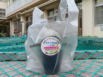 写真：レジ袋に入ったハボタン苗