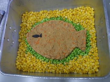 写真：大きな魚のそぼろごはん