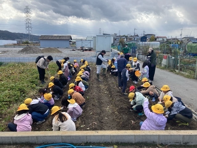 写真：いもほり1