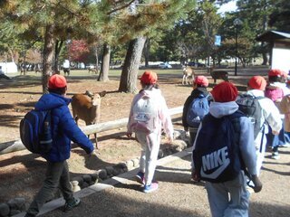 写真：遠足1