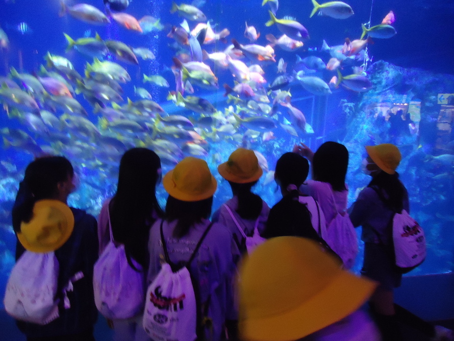 写真：修学旅行1