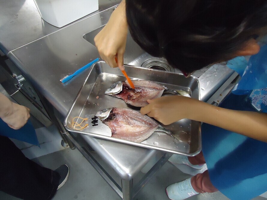 写真：修学旅行2