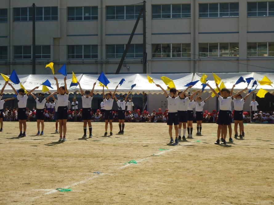 写真：運動会4