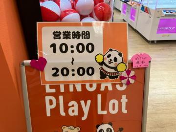 写真：リノアス8