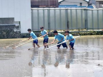写真：5年生・代かき体験4