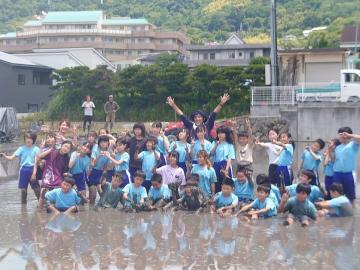 写真：5年生・代かき体験6