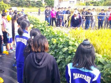 写真：5年生・稲刈り体験1