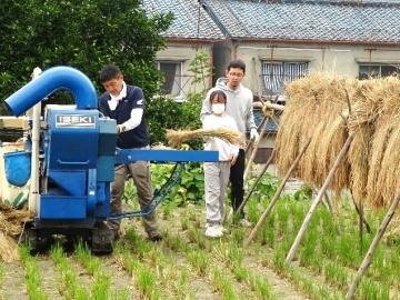 写真：5年生・脱穀体験3