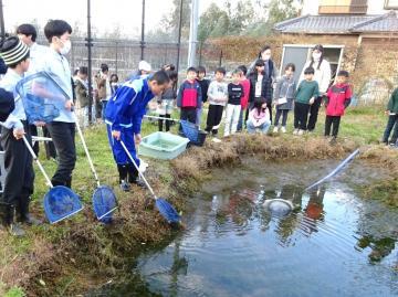 写真：ドビ流しの見学1