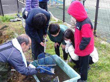 写真：ドビ流しの見学2