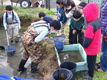 写真：ドビ流しの見学3