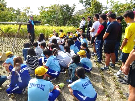 5年生・稲刈り体験24