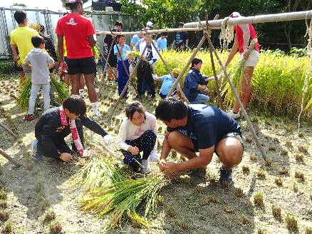 5年生・稲刈り体験28