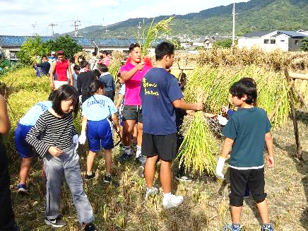 5年生・稲刈り体験29