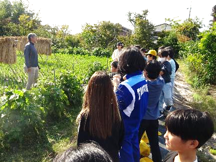 5年生・脱穀体験31