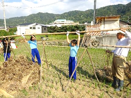 5年生・脱穀体験36