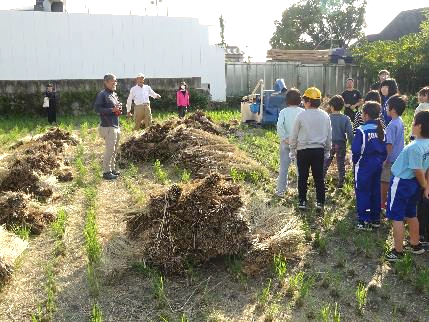 5年生・脱穀体験37