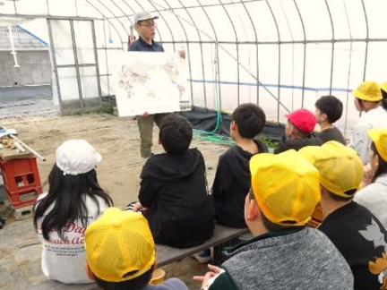 6年生・ジャガイモ収穫体験42