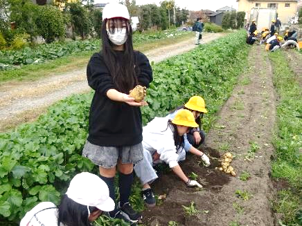 6年生・ジャガイモ収穫体験44