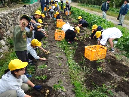 6年生・ジャガイモ収穫体験45