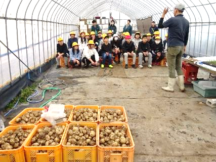 6年生・ジャガイモ収穫体験48