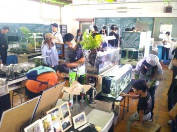 写真：山ねきマルシェ1