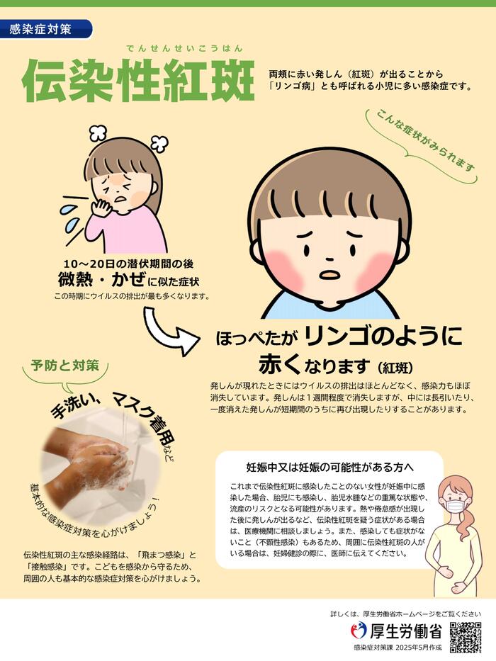 伝染性紅斑（厚生労働省）