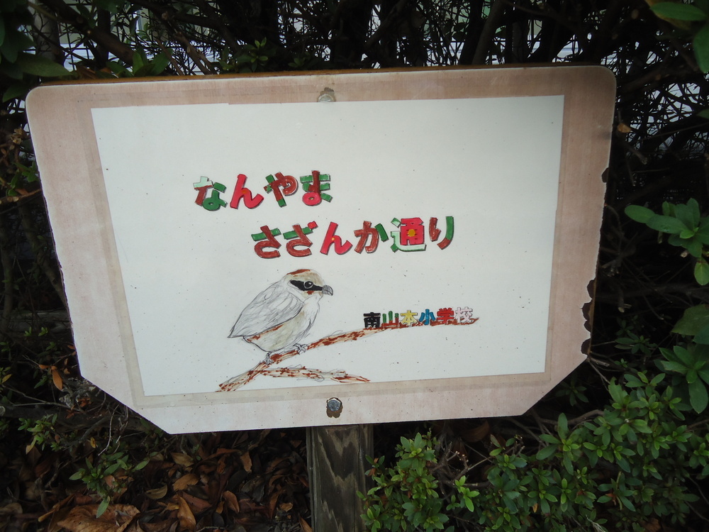 写真:南山本小さざんか通り3