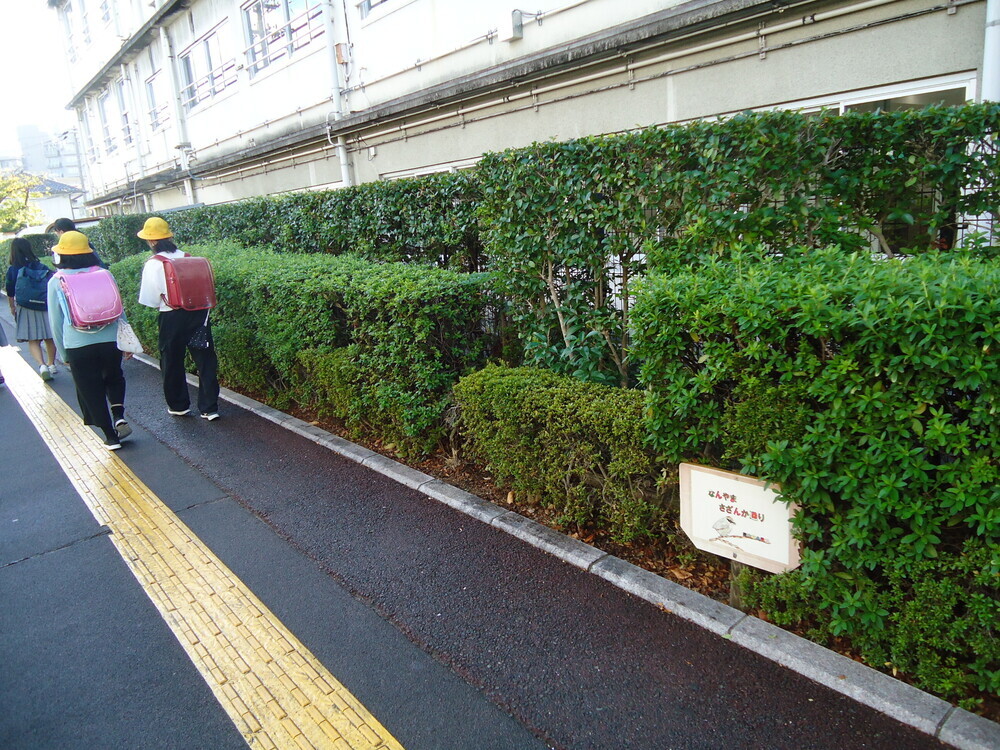 写真:南山本小さざんか通り1