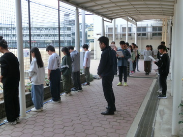 写真：班長が、市長にハボタンの定植のしかたを説明