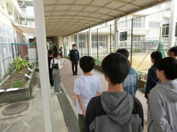 写真：八尾市長の学校訪問
