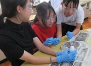 6年理科実験の様子