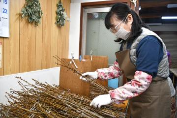 写真：一束一束丁寧にそろえる女性