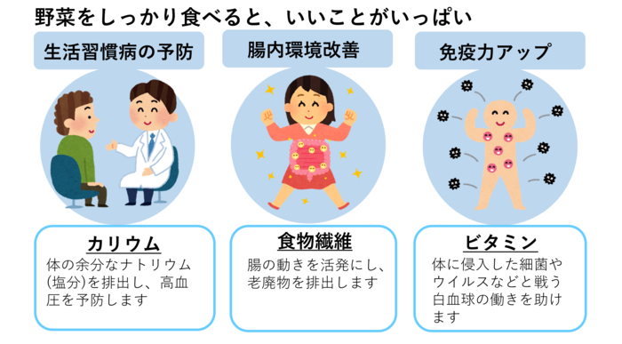 きのこなどのイラスト