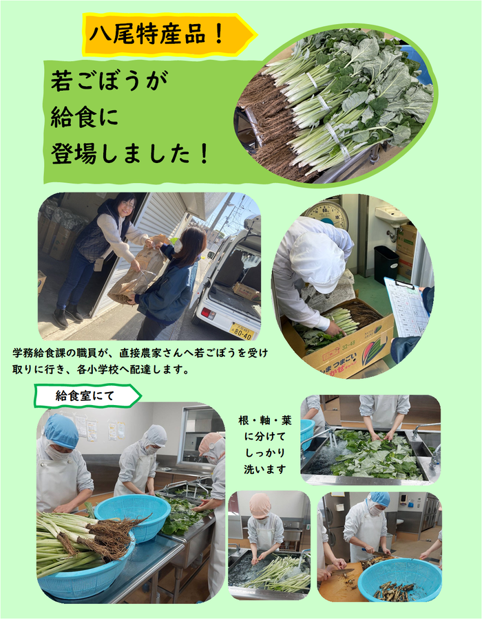若ごぼうが給食室に届く写真