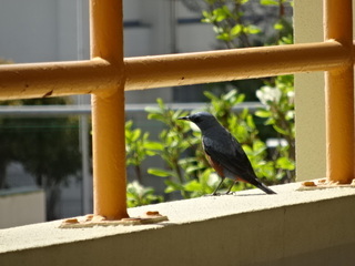 学テ6