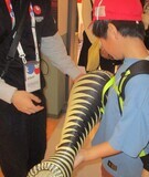展示物B