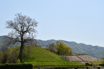 写真：しおんじやま古墳全景