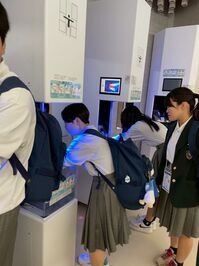 万博5