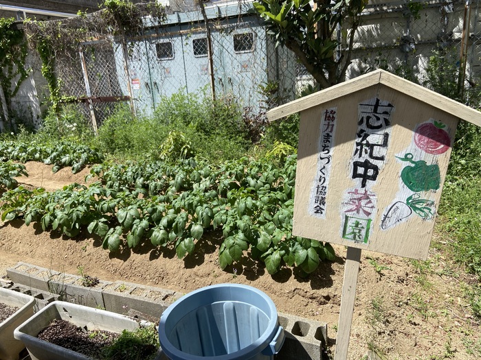 志紀中菜園の写真
