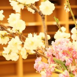 玄関ホールの桜の写真