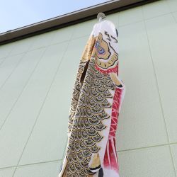 園庭のこいのぼりの写真