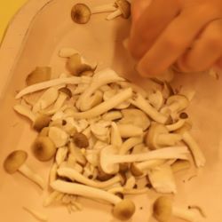 しめじちぎりのお手伝い