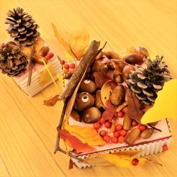 木の実でケーキの飾り