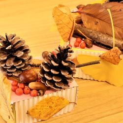 松ぼっくりの飾り