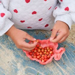 南天の実で遊ぶ子ども